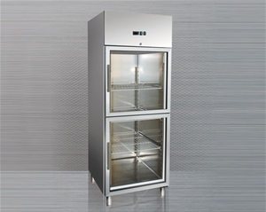 歐款玻璃門(mén)高身雪柜