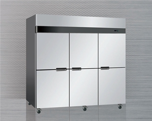 國(guó)際六門(mén)立式雪柜