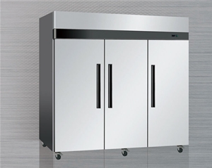 國(guó)際三大門(mén)立式雪柜