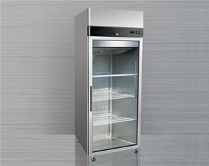 國(guó)際單玻璃門(mén)立式雪柜